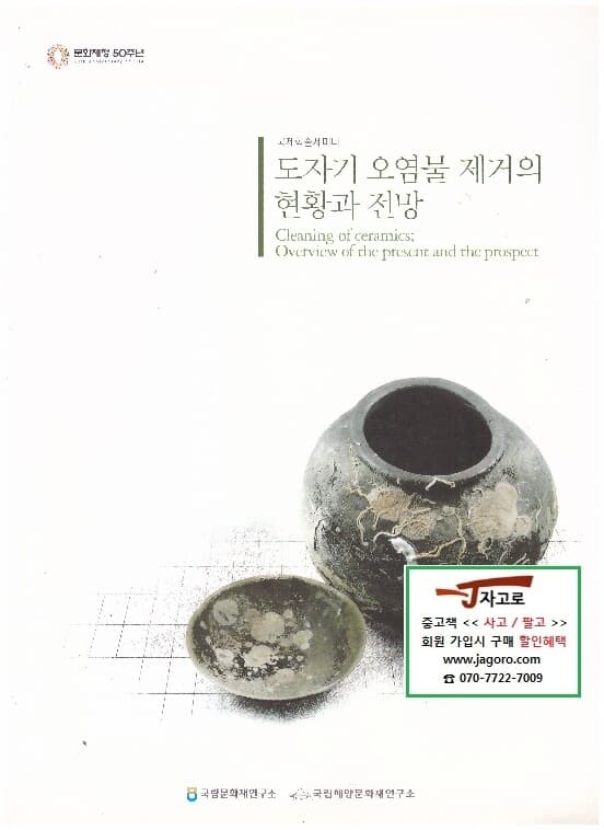 도자기 오염물 제거의 현황과 전망 (국립문화재연구소 외, 2011년)