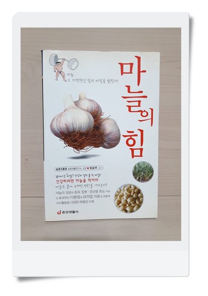 마늘의 힘