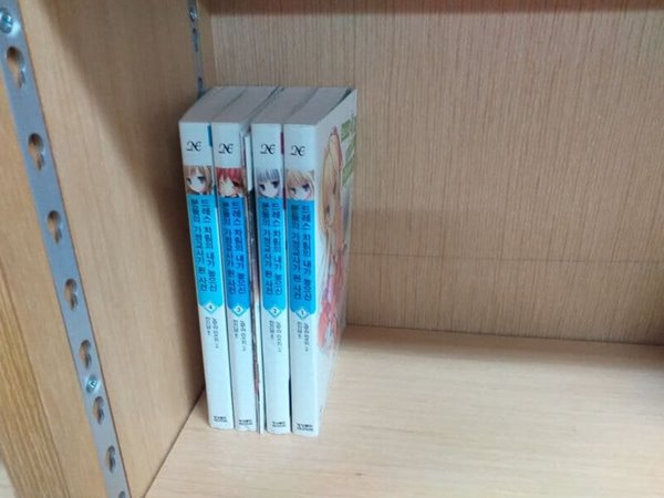 드레스 차림의 내가 높으신 분들의 가정교사가 된 사건 1 -4권세트/소장용/노블엔진 Novel 