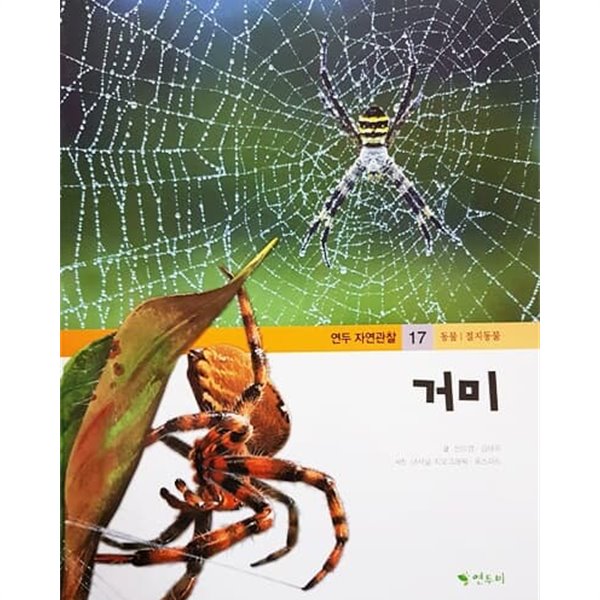 거미 - 연두 자연관찰 17