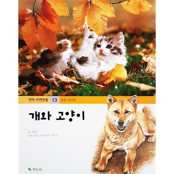 개와 고양이 - 연두 자연관찰 13