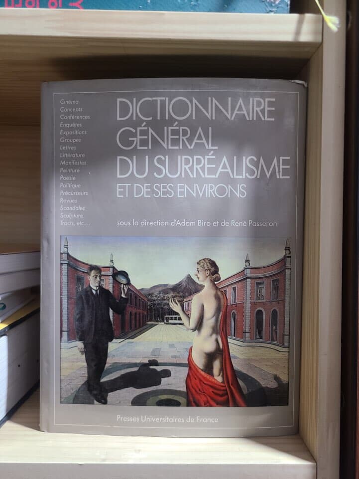 Dictionnaire general du surrealisme et de ses environs (GRANDS DICTIONNAIRES) (French Edition)   (French) Hardcover
