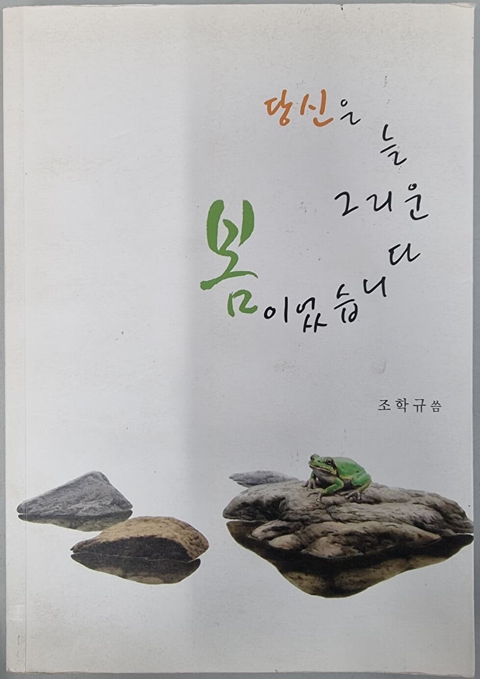 당신은 늘 그리운 봄이었습니다