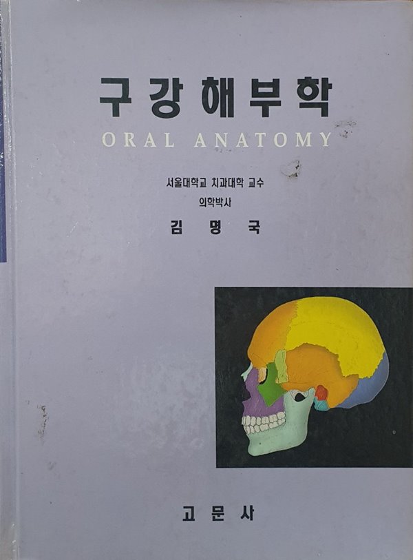 구강해부학