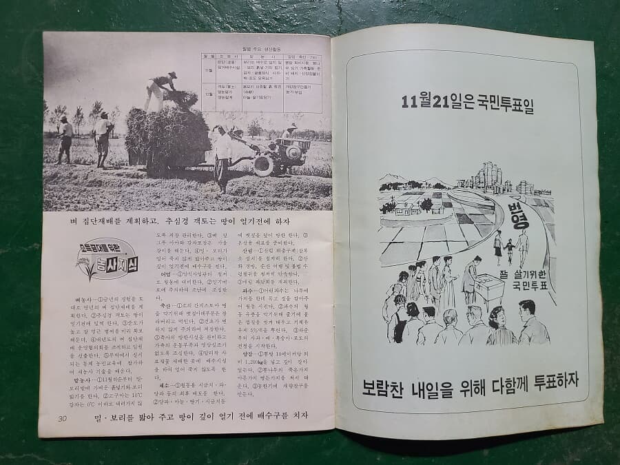 새마을 5호 - 박정희 대통령10월 유신 국민투표 / 1972.10.15일 발행