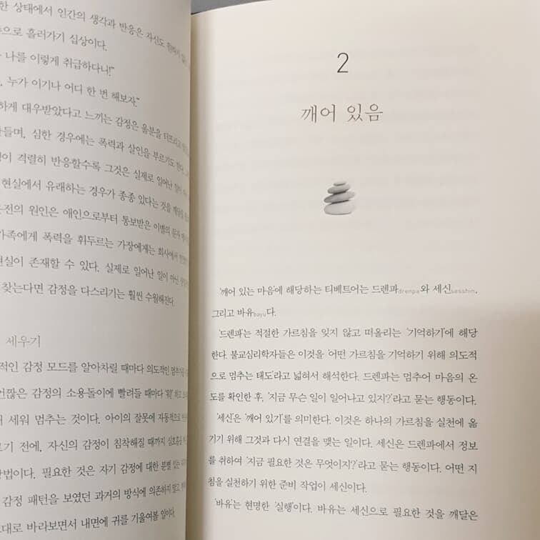 내 감정의 함정