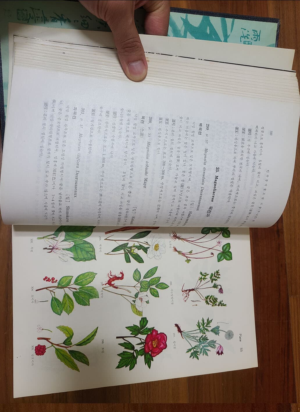 한국동식물도감 제5권 식물편(목초본류) + 보유편 총2권 하드커버