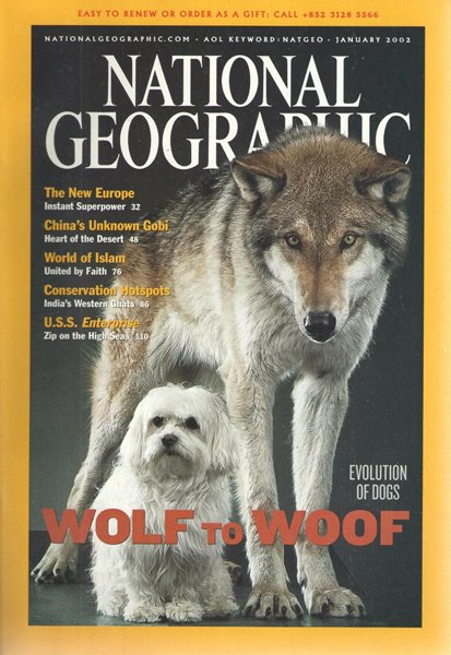 [수입] National Geographic 내셔널 지오그래픽 2002년 1월-12월 총12권