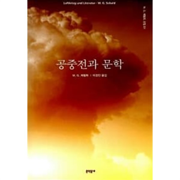 공중전과 문학 / 소장본 상급