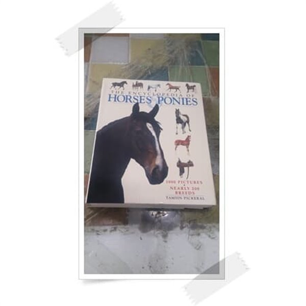 [중고샵] THE ENCYCLOPEDIA OF HORSES PONIES.(Hardcover). - 예스24