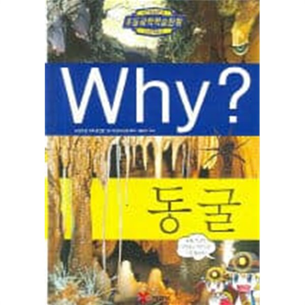 Why? 동굴