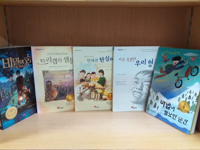 대교 초등 필독추천창작동화 10권세트 (안내견 탄실이, 트리갭의 샘물, 아주 특별한 우리형, 비밀의 숲 테라비시아 등)