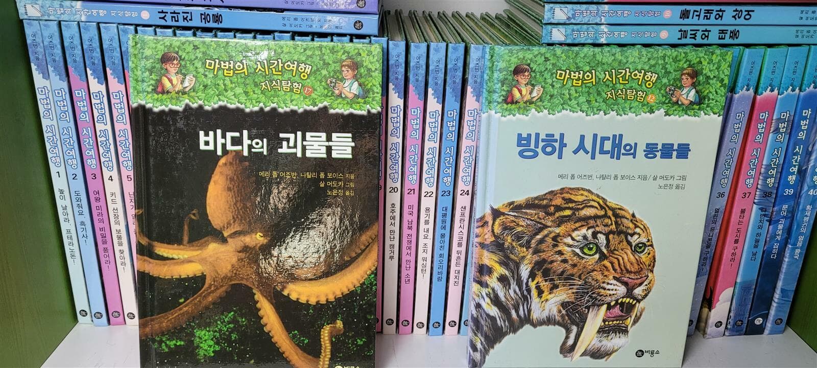 마법의 시간여행 1-40 + 지식탐험 1-18 (상세사진,깨끗함)