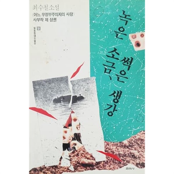 녹은 소금, 썩은 생강 (1991년)