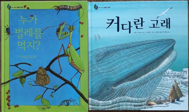 반딧불 과학그림책 신판 전60권 특A급