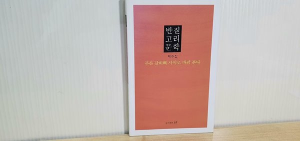 반짇고리문학 제6집 / 푸른 갈비뼈 사이로 바람 분다