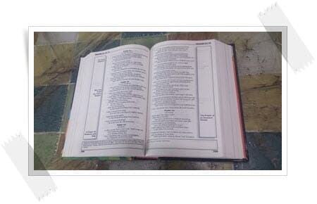 THE BiG RESCUE BiBLE.(외서).American Bible 1991,1995.