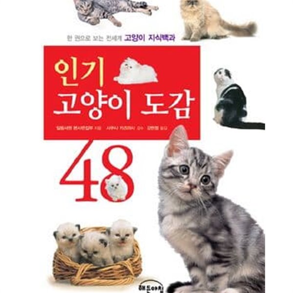 인기 고양이 도감 48