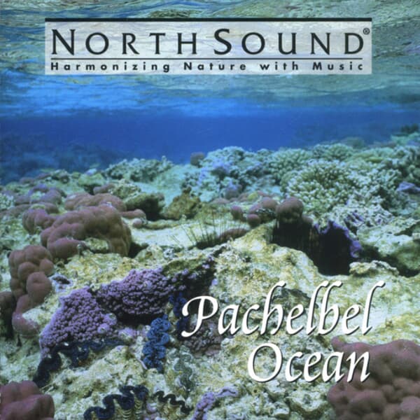 Pachelbel Ocean (수입)