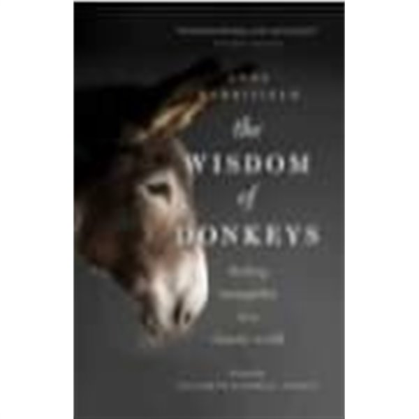 The Wisdom of Donkeys: Finding Tranquility in a Chaotic World