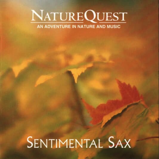 Paul McCandless - Sentimental Sax (수입)
