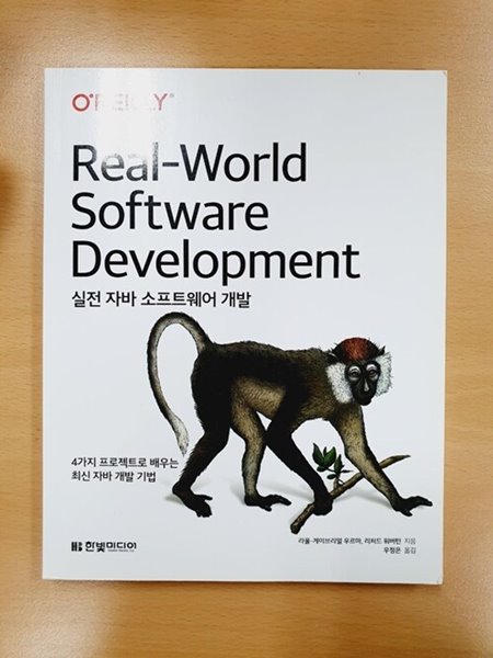 실전 자바 소프트웨어 개발