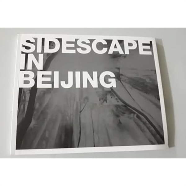 SIDE SCAPE IN BEIJING 2010 홍순명 개인전 도록