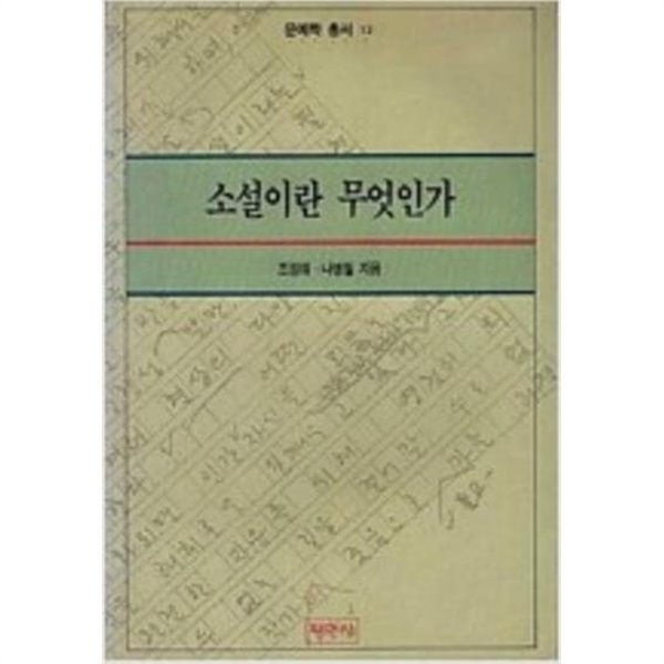 소설이란 무엇인가 (문예학총서 12)