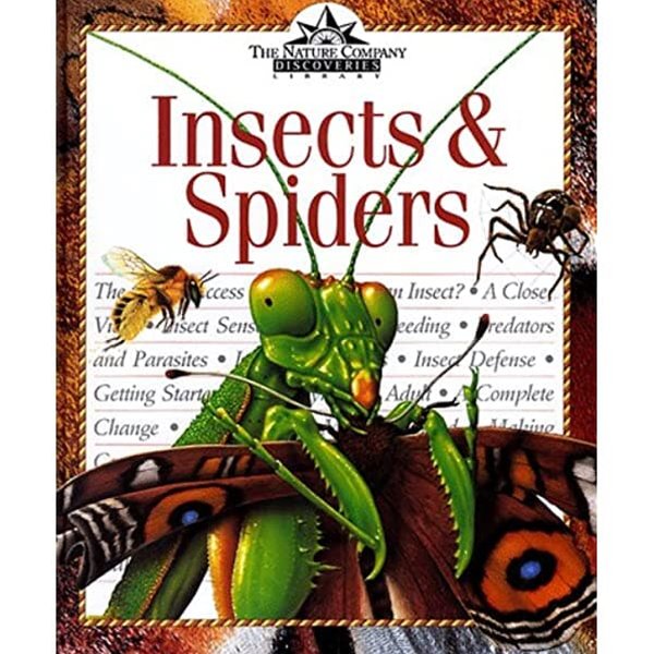 Insects &amp; Spiders