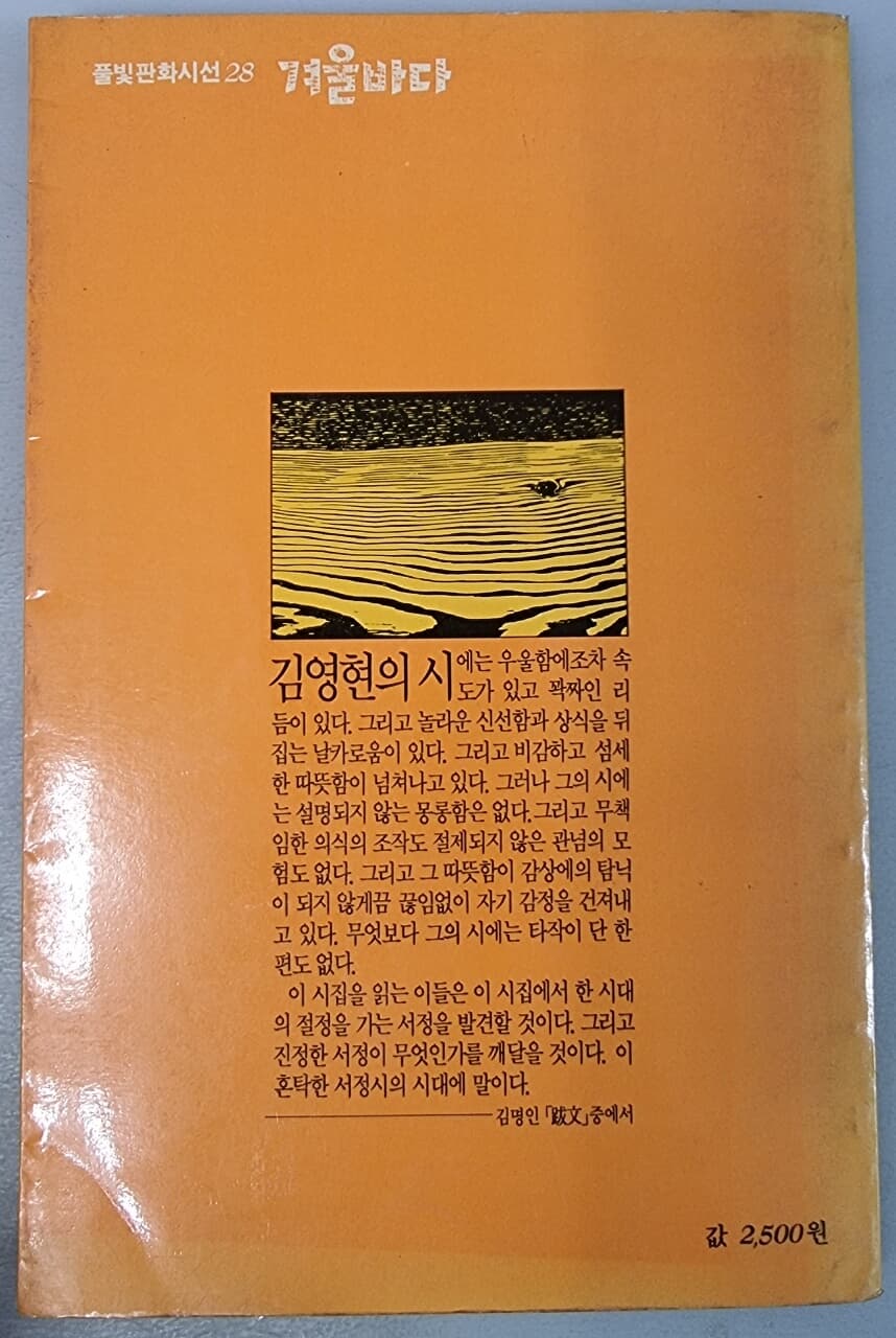 겨울바다 - 풀빛판화시선 28 김영현시집