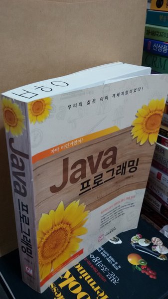 Java 프로그래밍 : 자바 이런거였어?