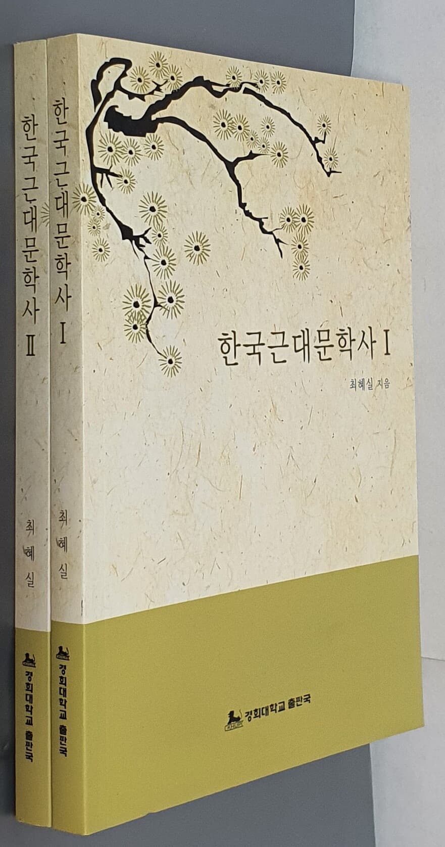 한국근대문학사 Ⅰ,Ⅱ (전2권)