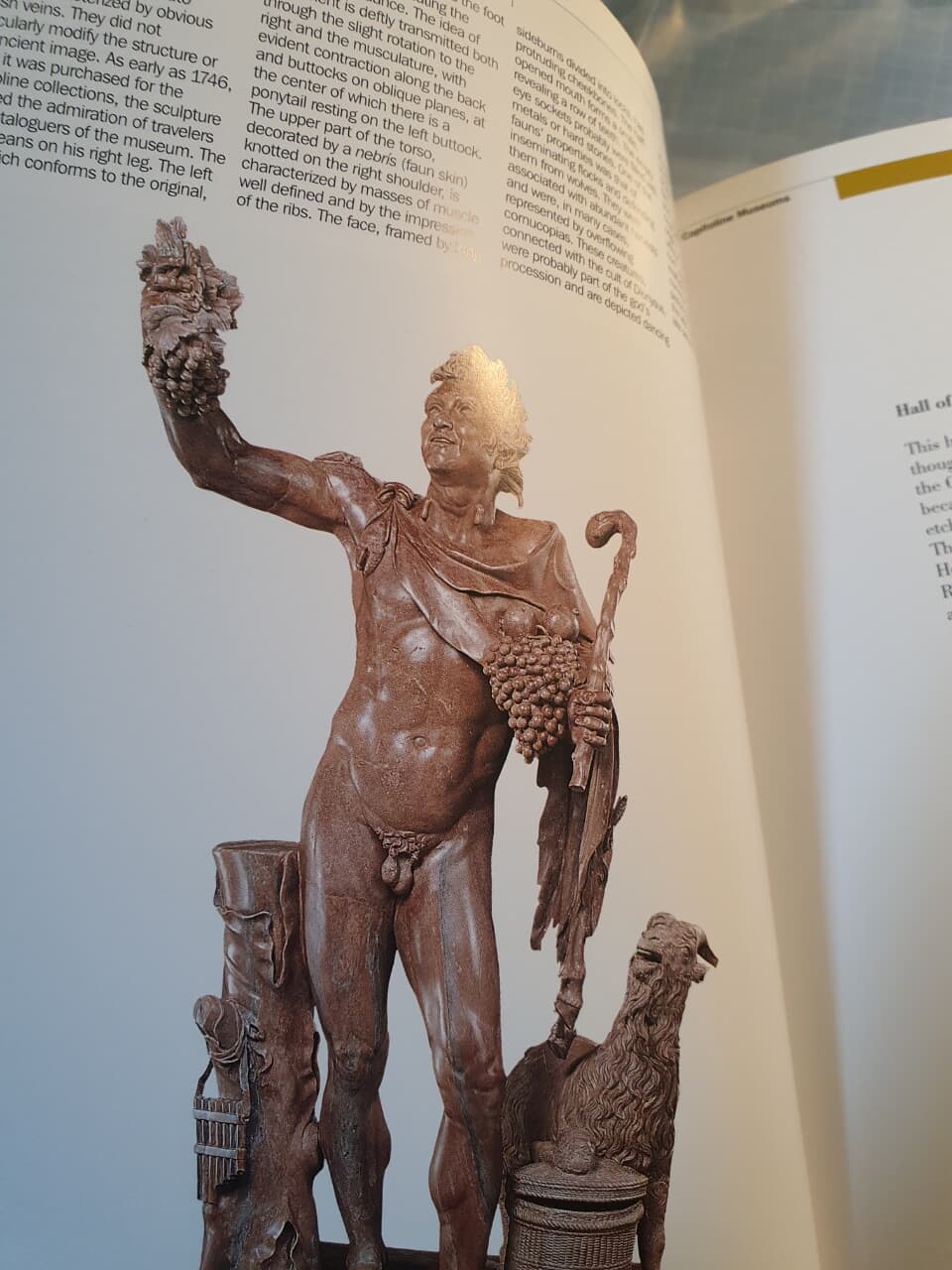 The Capitoline Museums Guide