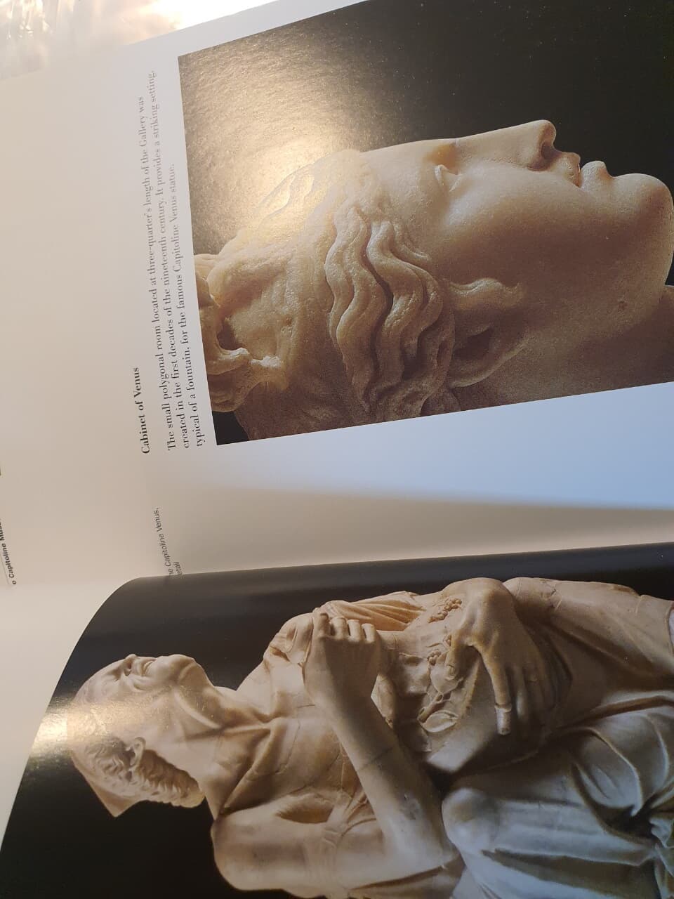 The Capitoline Museums Guide