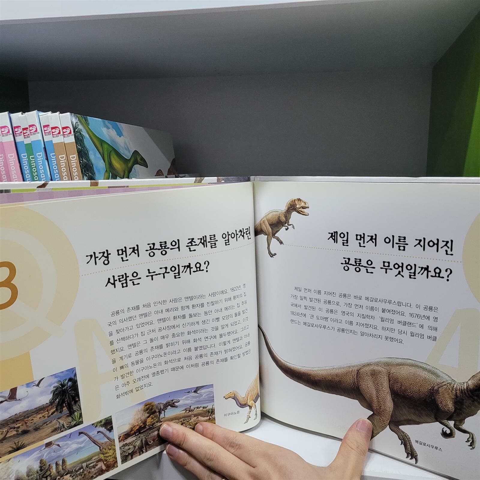 공룡책 시리즈(뉴도담 공룡책 10권+Dinosaurs world 16권)---총26권