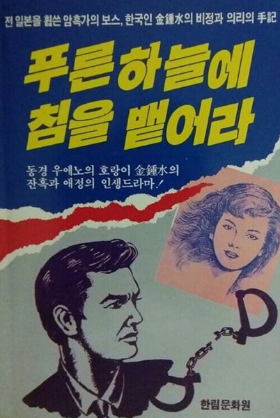 푸른 하늘에 침을 뱉어라 - 전 일본을 휩쓴 암흑가의 보스 한국인 김종수의 비정과 의리의 수기