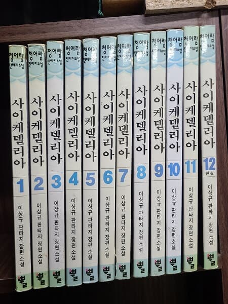 사이케델리아 1-12(완결) : 이상규 판타지 장편소설