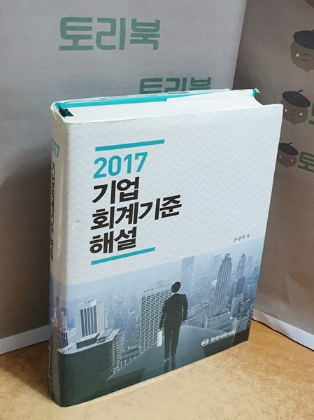 2017 기업 회계기준 해설