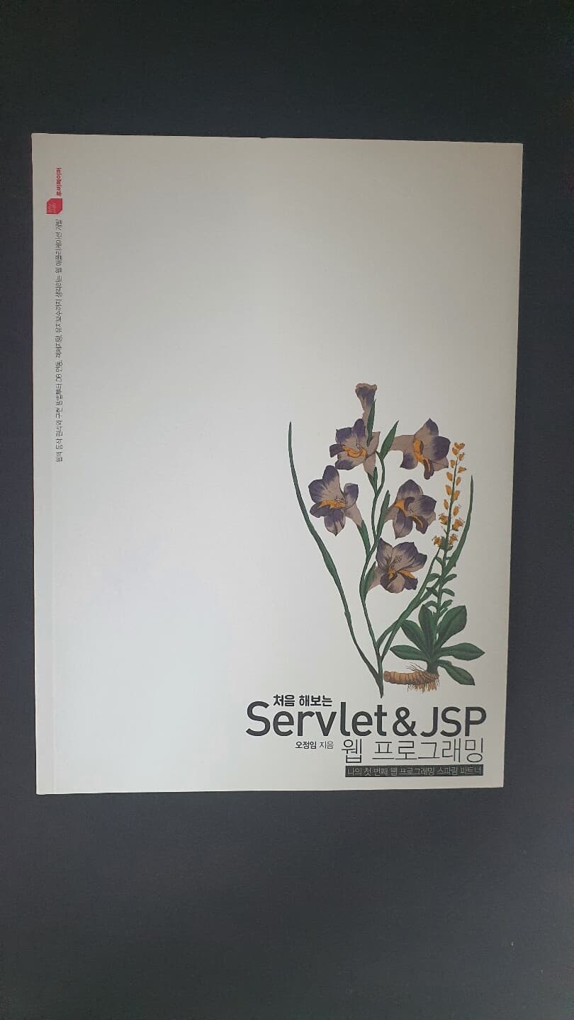 처음 해보는 Servlet & JSP 웹 프로그래밍