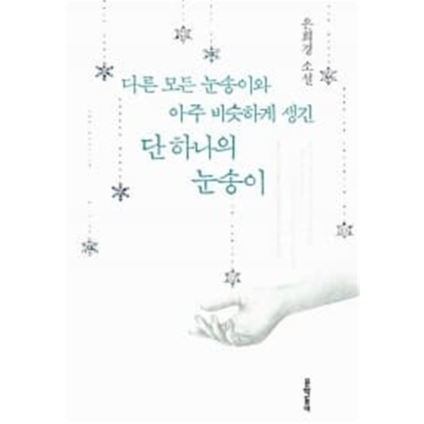 다른 모든 눈송이와 아주 비슷하게 생긴 단 하나의 눈송이