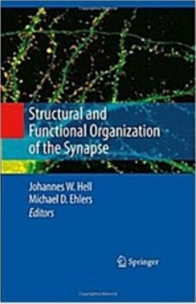 Structural and Functional Organization of the Synapse (Hardcover)