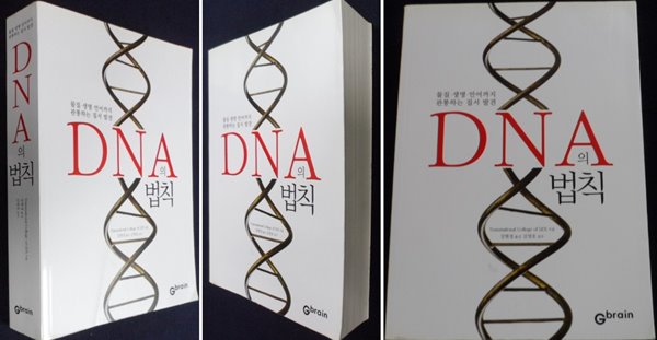DNA의 법칙