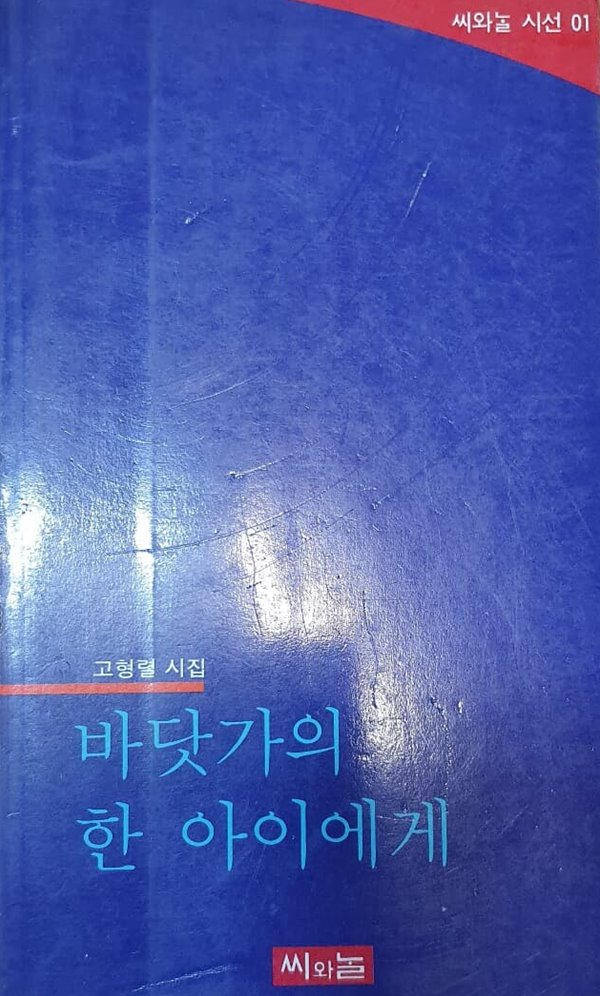 바닷가의 한 아이에게 (고형렬 시집)