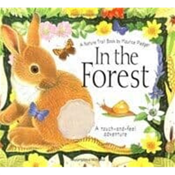 In the Forest : A Nature Trail Book -- 상태 : 상급