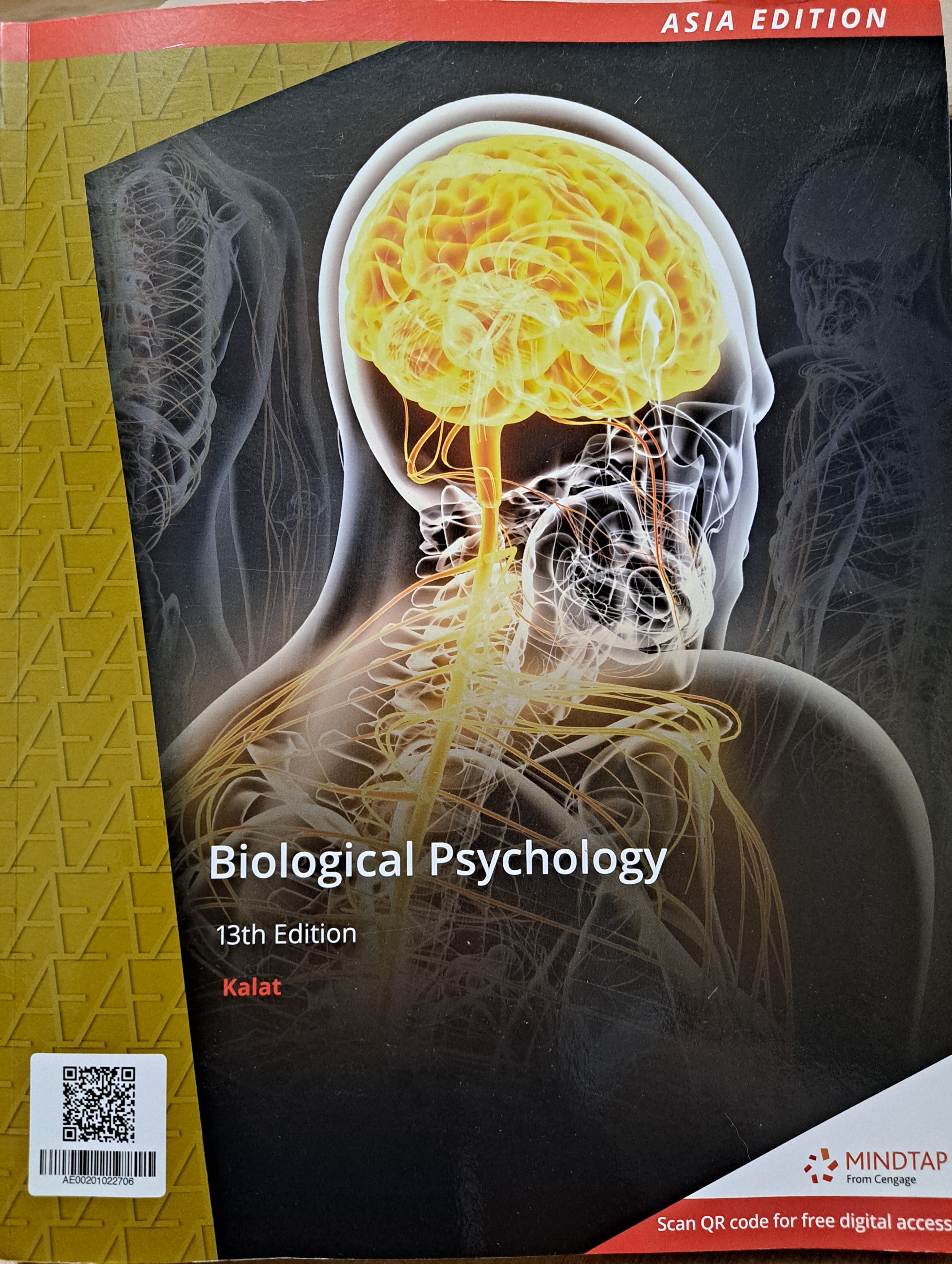 Biological Psychology, 13/E