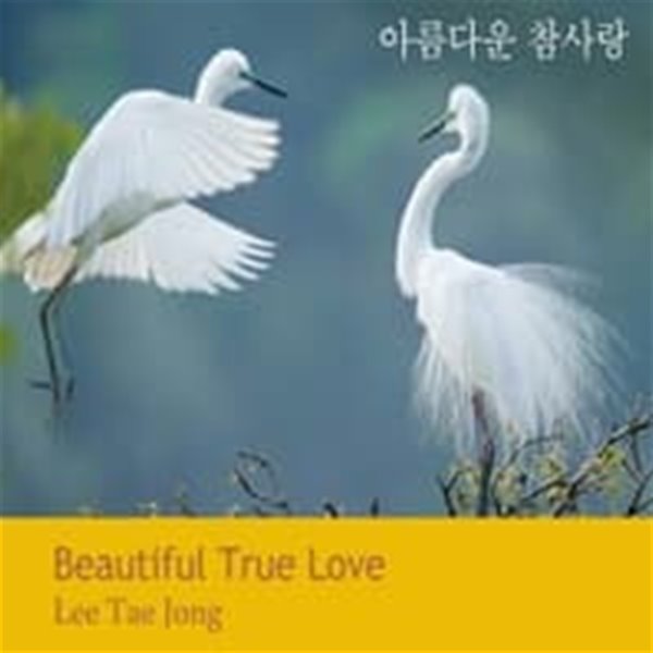 이태종 - 아름다운 참사랑 Beautiful True Love (싱글)