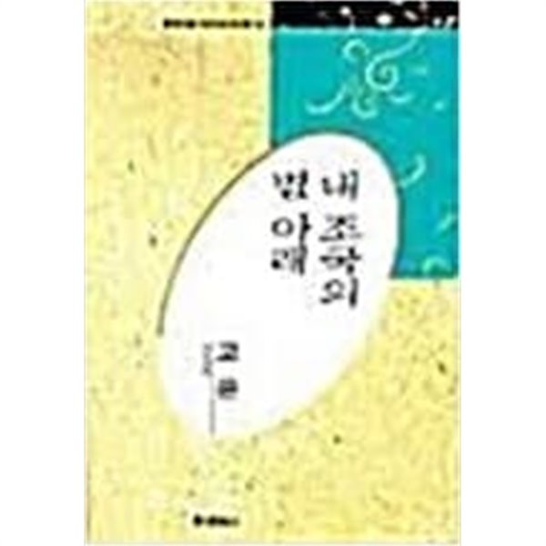 내 조국의 별 아래 - 고은 시선 (미래사 한국대표시인100인선집 58) (1991 초판)