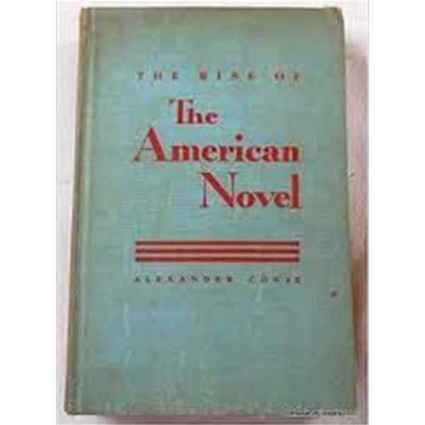 The Rise of The American Novel (Hardcover)