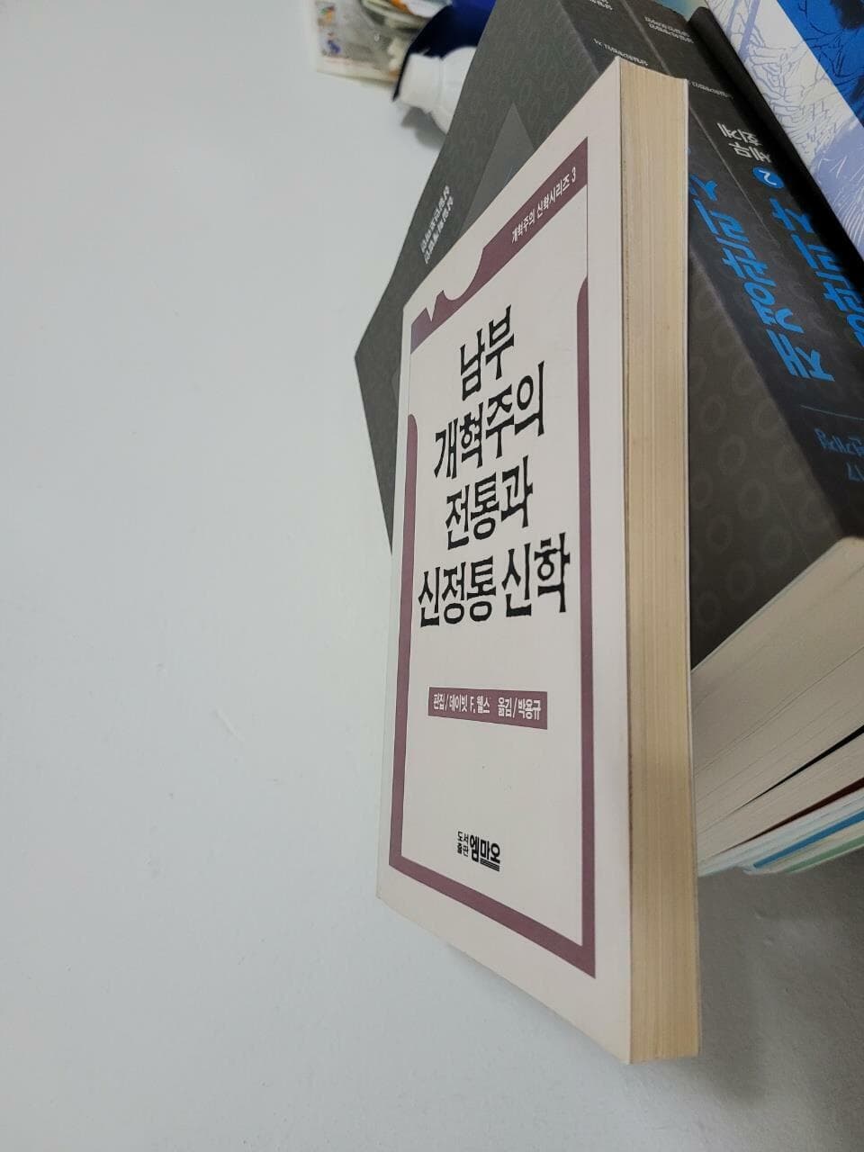 남부 개혁주의 전통과 신정통 신학