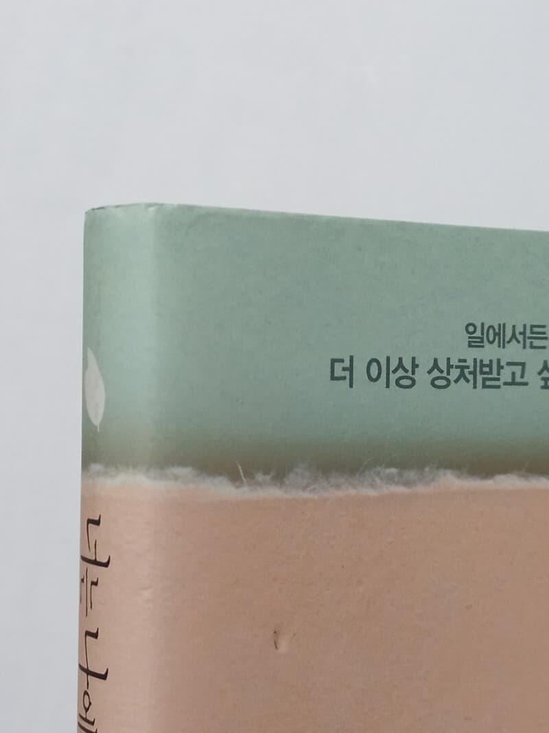 너는 나에게 상처를 줄 수 없다